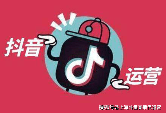 小蛇直播，日常溫馨趣事分享