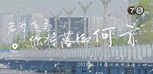 直播撫遠(yuǎn)，小城日常溫馨趣事紀(jì)實(shí)