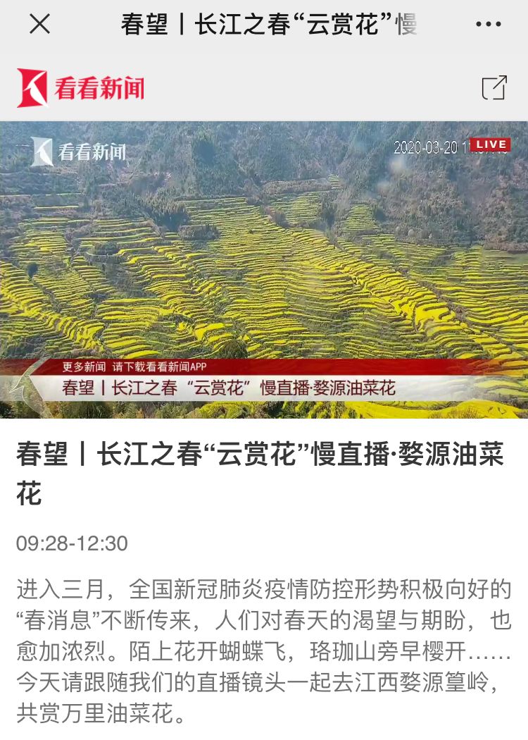 孟軻直播，探索知識的海洋之旅