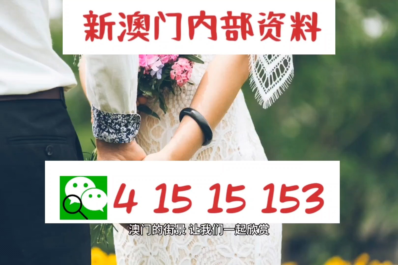澳門最新資料寶典：專業(yè)解讀預(yù)測(cè)_TZP68.788感知版