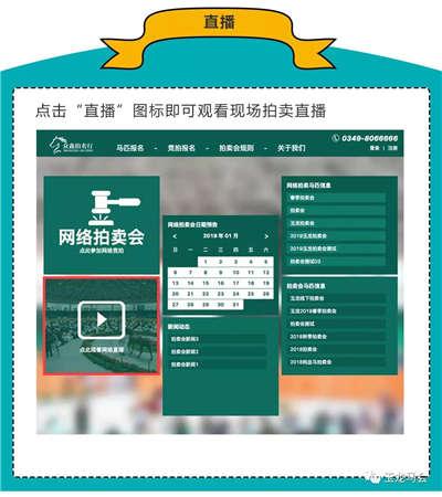 2024澳門特別馬會(huì)直播：晚間特馬解析，數(shù)據(jù)科學(xué)解讀_FJQ1.33.79速學(xué)版
