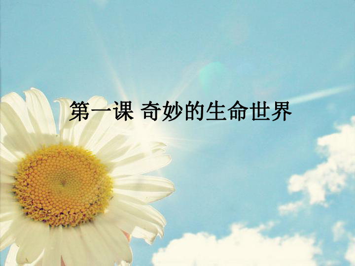 舞蹈地板 第507頁(yè)