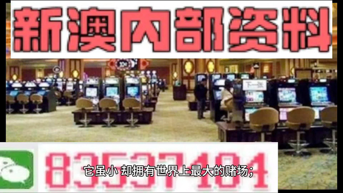 “2024新澳正版資料免費發(fā)布，精準解讀_競技版RWP898.63”