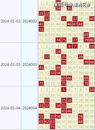 2024天天彩官方資料匯編，全面評估準則_IQV值491.57