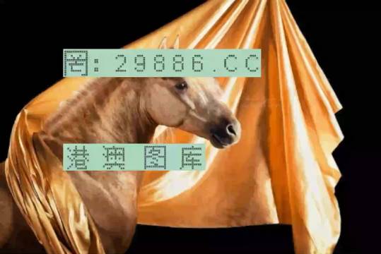 塑膠跑道 第430頁