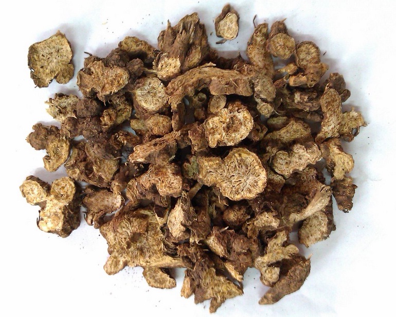 安國蒼術(shù)最新價格,安國蒼術(shù)最新價格，一場自然美景的旅行探索