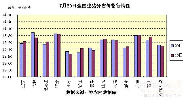 全國最新生豬價(jià)格走勢，一場自然美景探索之旅的伴隨變化