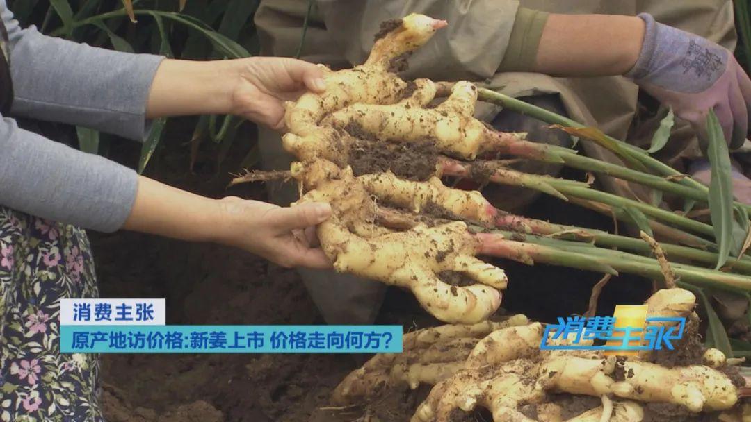 昌邑大姜最新價(jià)格，變化中的機(jī)遇，成就感的源泉今日更新！