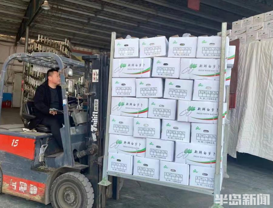 萊西最新司機招聘信息,萊西最新司機招聘信息，一起駛向自然美景，尋找內(nèi)心的寧靜與平和