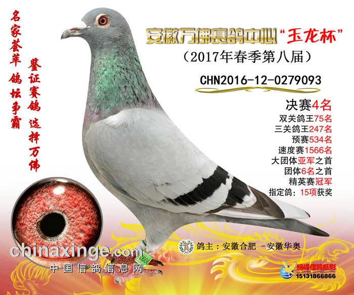 萬(wàn)佛公棚最新公告，揭示未來(lái)發(fā)展規(guī)劃與重大更新資訊