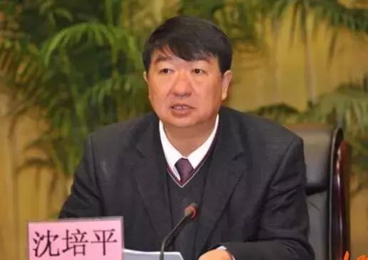 沈培平最新學(xué)習(xí)指南，掌握新技能或任務(wù)的詳細(xì)步驟攻略