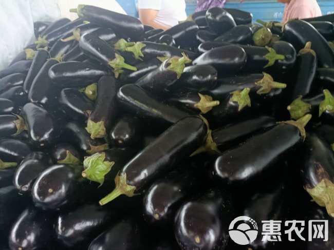 PVC塑膠地板 第351頁