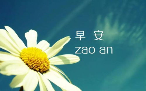 最新早安心語圖片，勵志溫馨的啟程，開啟美好一天的大門