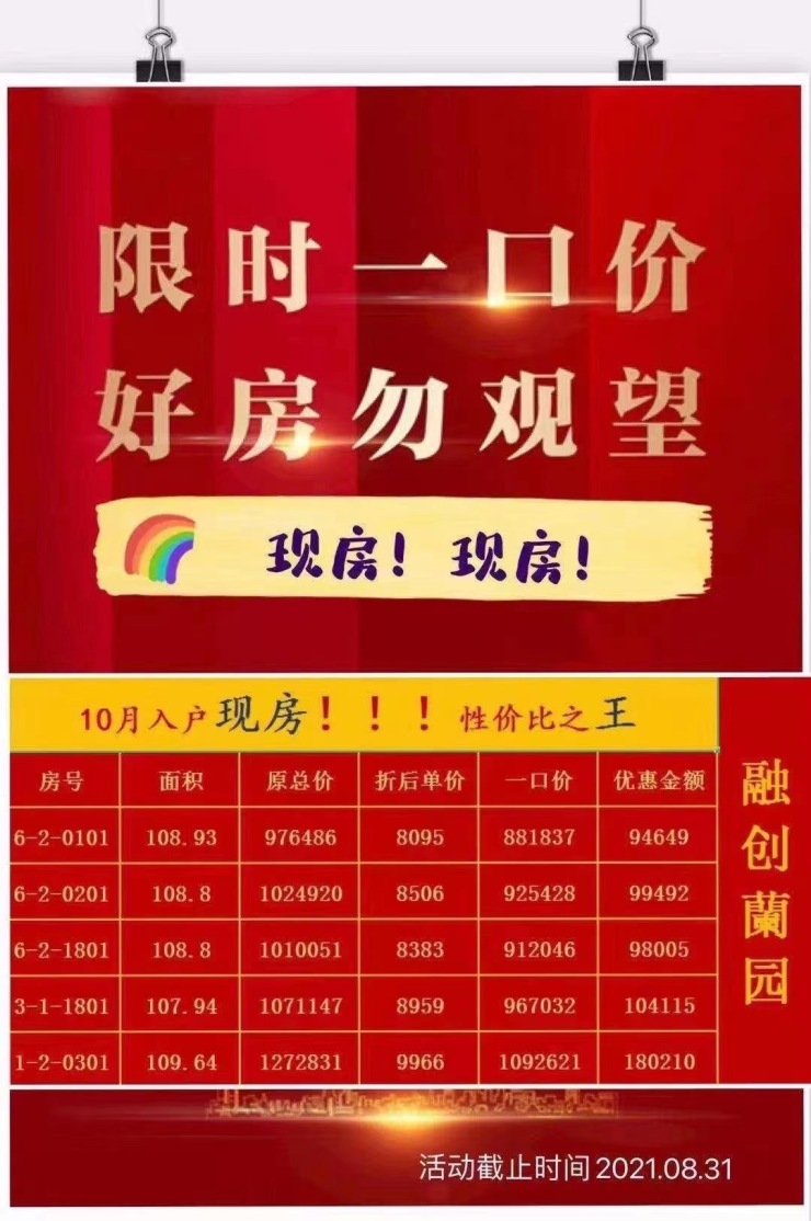哈慈400044最新公告揭秘，背后的溫馨故事浮出水面
