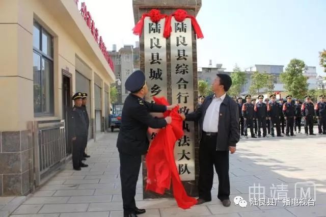 陸良新聞最新動(dòng)態(tài)，獲取與了解的步驟指南