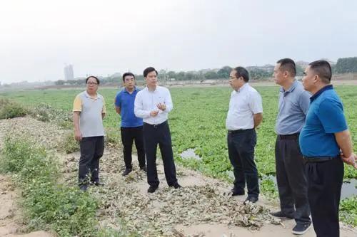樂業(yè)縣人事任命揭曉，開啟發(fā)展新篇章，任命背后的溫馨故事引人關(guān)注