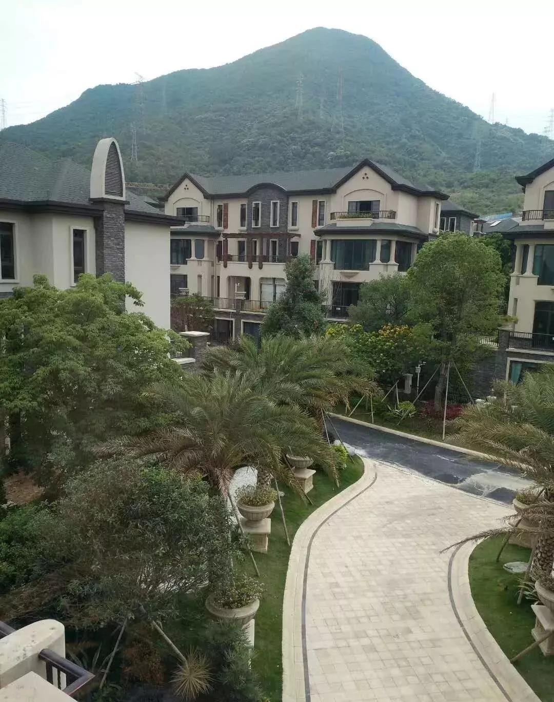 河池市 第2頁