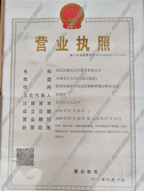 沈陽夫妻工最新招聘信息，攜手共赴自然美景的浪漫之旅