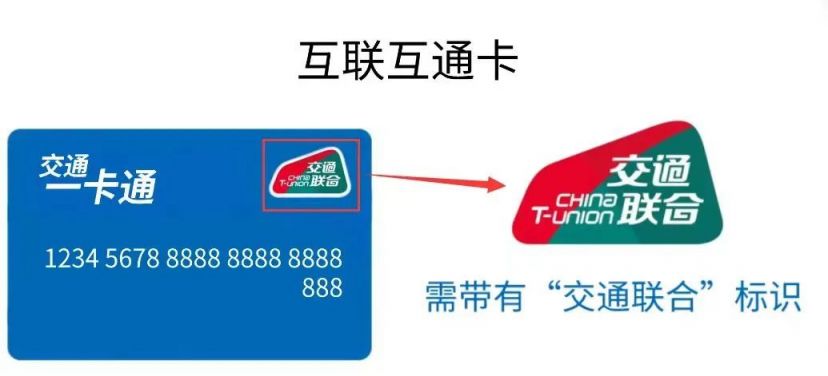 溫州限牌政策最新動態(tài)，調(diào)整與市場反應(yīng)關(guān)注焦點(diǎn)
