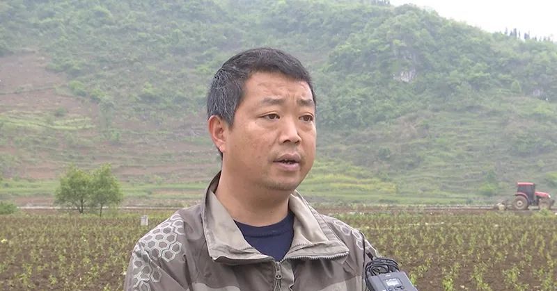 探索自然美景之旅，最新興仁下山鎮(zhèn)視頻帶您尋找內(nèi)心平和的旅程