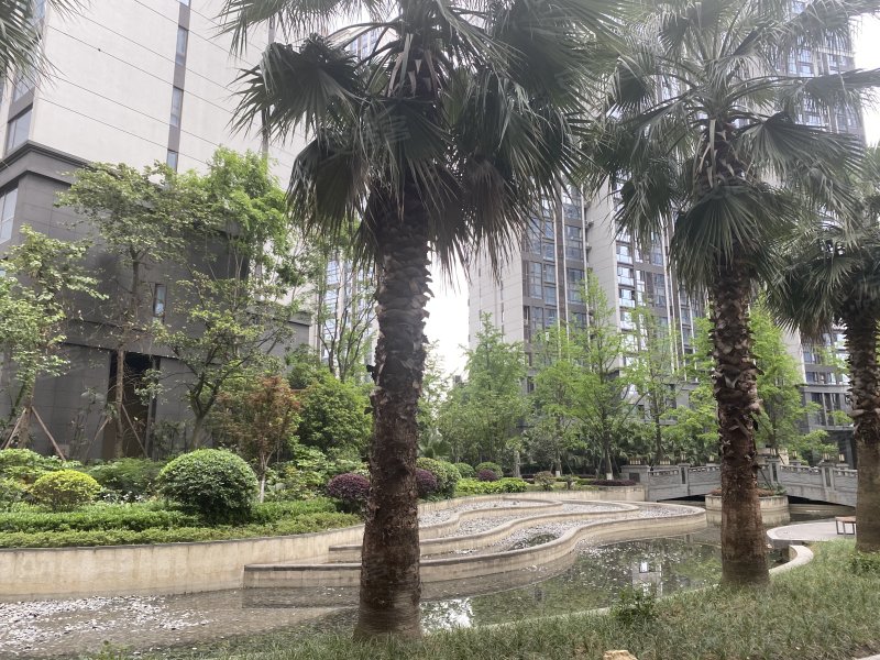 成都金棕櫚最新房價(jià)，理想投資與生活的不二之選