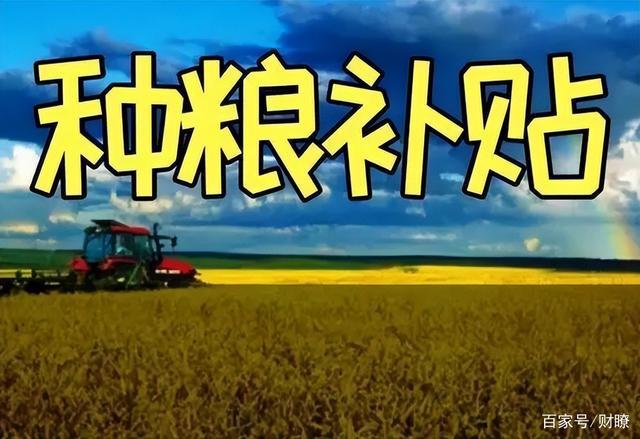 最新2024年糧食補貼政策，時代的庇護與農(nóng)業(yè)的繁榮