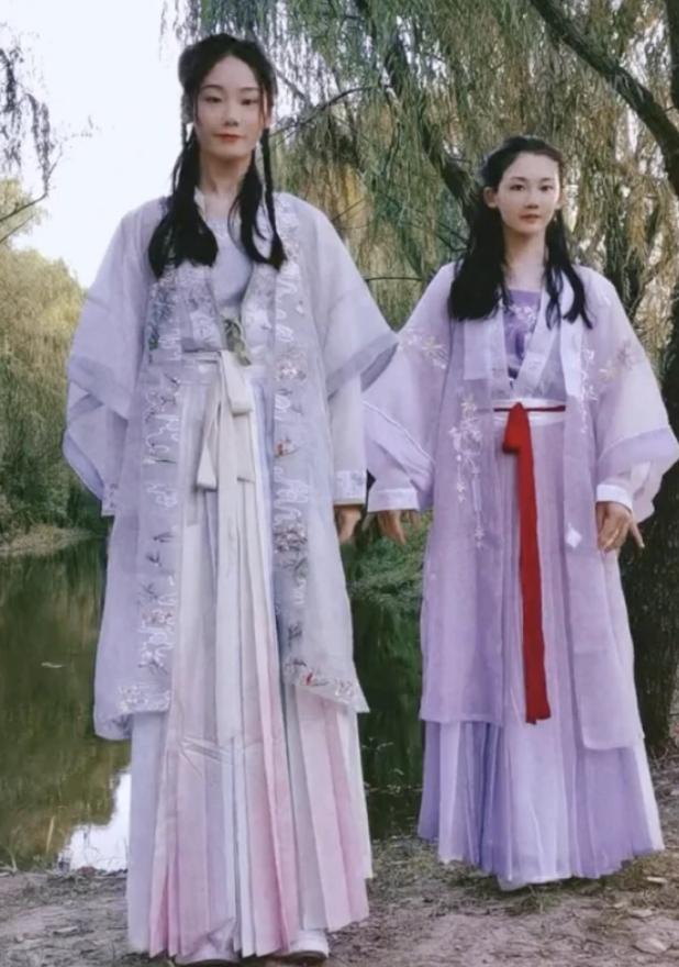 苗苗成長之路，最新動態(tài)與多元視角展望