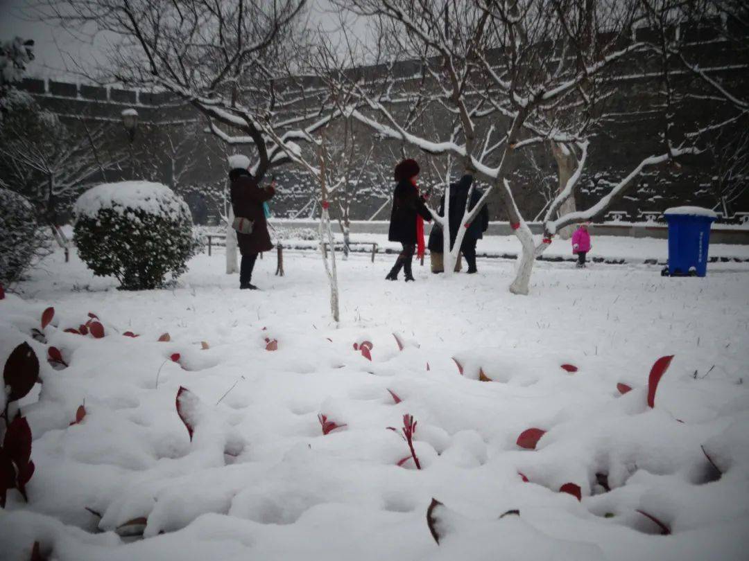 最新下大雪，自然盛宴背后的啟示