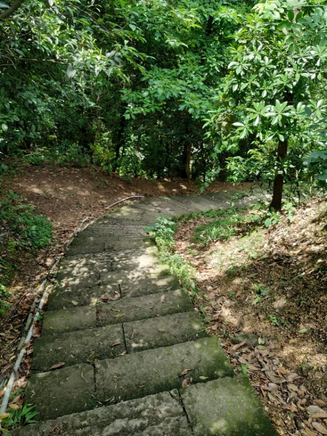 PVC塑膠地板 第260頁