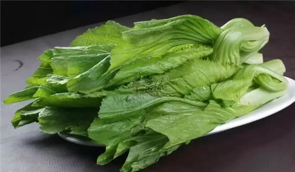 芥菜，從田間到餐桌的全方位關(guān)注焦點(diǎn)最新報(bào)道