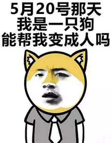 抖音最新套路,抖音最新套路，掌握這些技巧，輕松成為網(wǎng)紅達(dá)人！