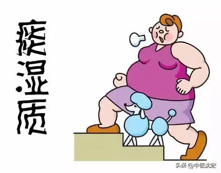 膽息肉最新藥物治療指南，初學(xué)者與進(jìn)階用戶通用步驟及新藥解析