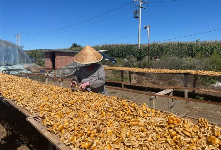 平泉白曉利最新動(dòng)態(tài)，歡樂(lè)日常一覽