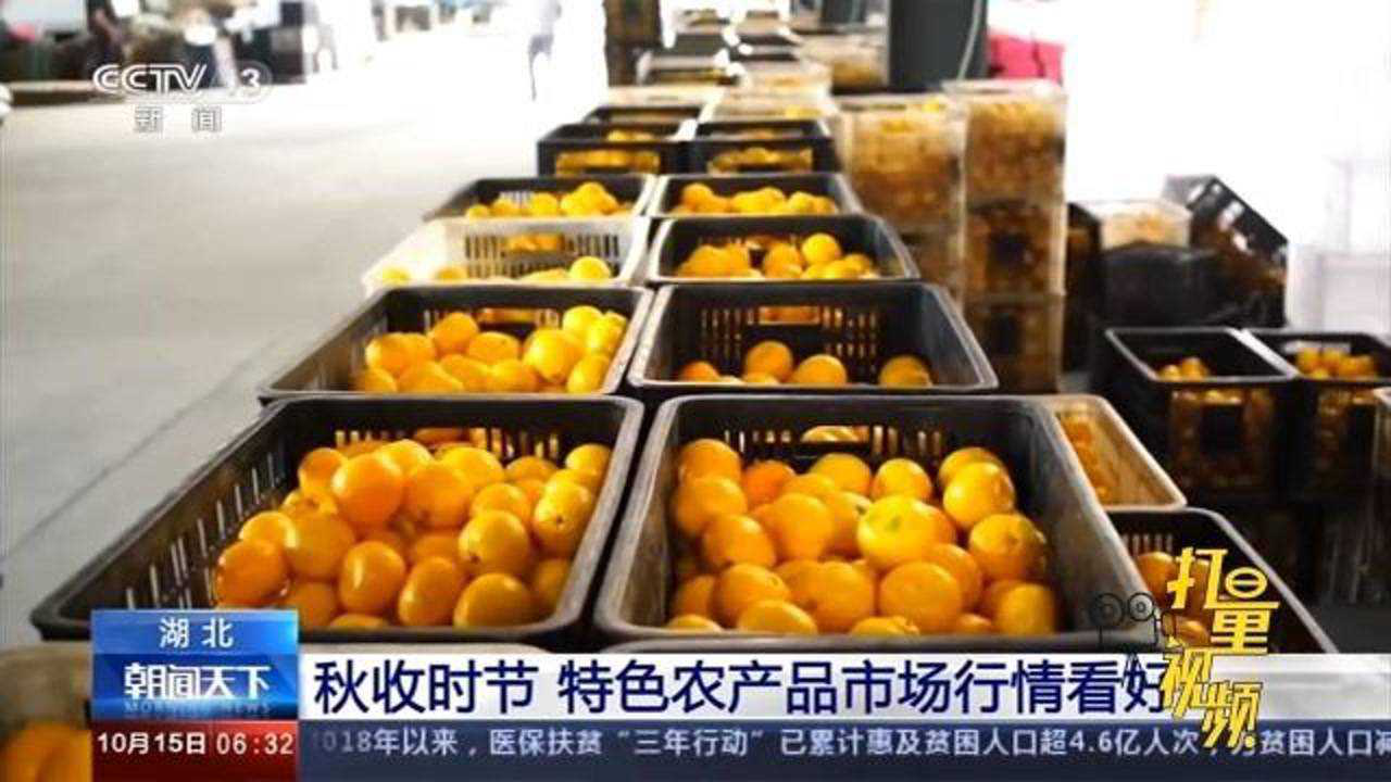 秋行情，學(xué)習(xí)之旅的自信與成就感之路