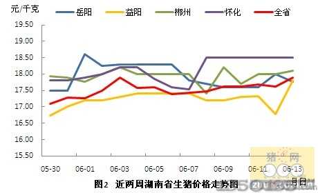 永州豬價(jià)行情，科技引領(lǐng)智能養(yǎng)豬新時(shí)代！