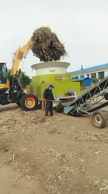 新型養(yǎng)牛設施搭建與管理步驟指南