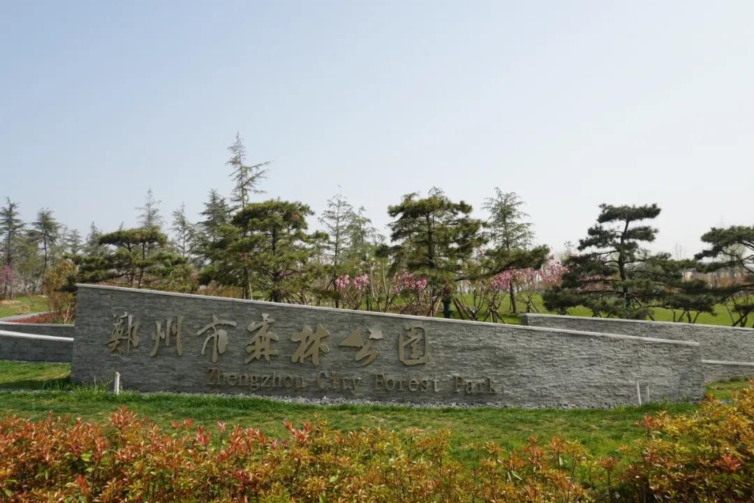 濟(jì)南黃河新區(qū)蓬勃發(fā)展，未來之城動態(tài)資訊揭秘