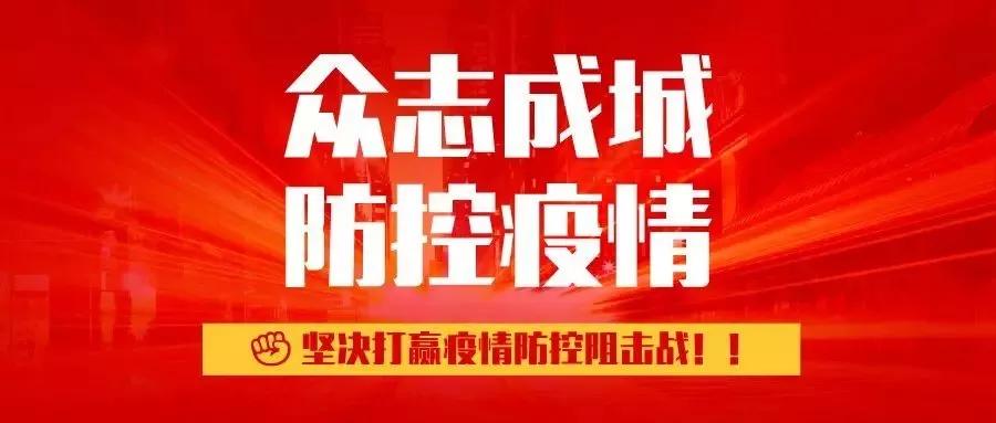 溫馨的午后，肺炎最新進展與日常故事交織的啟示