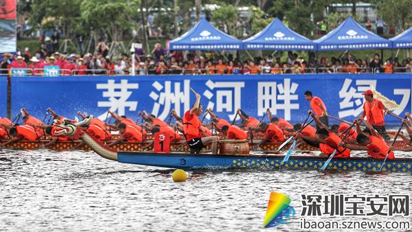 親近自然之旅，2017深圳龍舟比賽的寧靜與激情