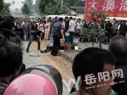 岳陽最新命案事件，深度探究與反思