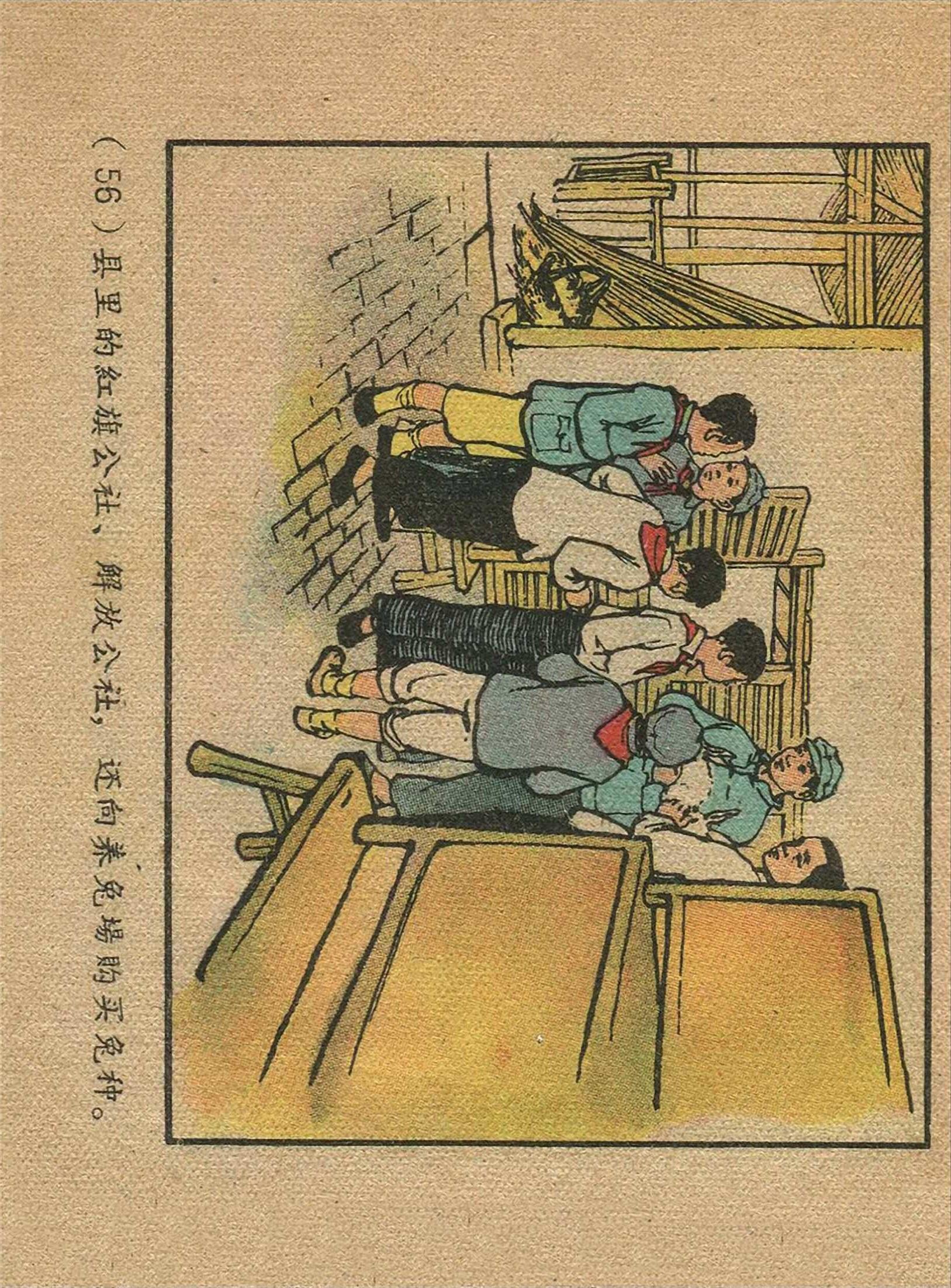 最新養(yǎng)兔,最新養(yǎng)兔技術(shù)，打造高效兔場的關(guān)鍵要素