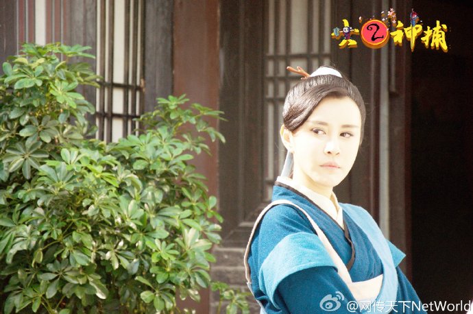 袁心冉的熒幕之旅，多部電視劇的演繹經(jīng)歷