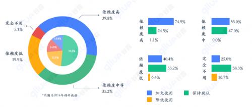 谷露最新深度解析，背景、重要事件與地位一覽