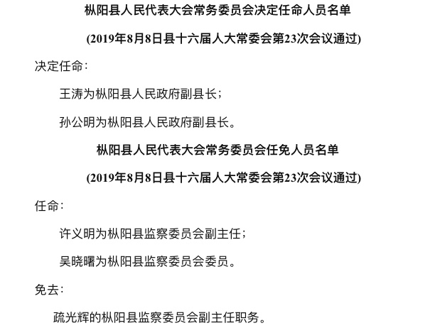 樅陽縣人事調(diào)整最新動態(tài)及小巷獨特風(fēng)味揭秘
