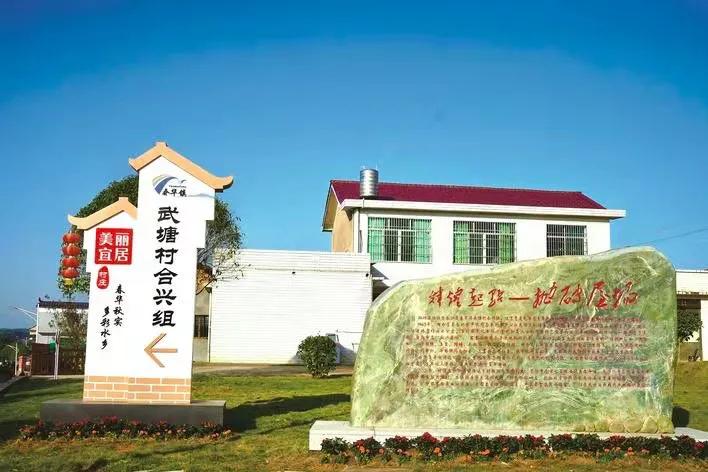 長沙公交206路最新線路解析及運營信息