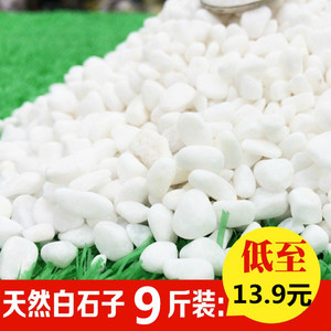 白石頭價格，歷史背景、重要事件與地位全解析
