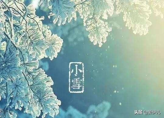 君總深情最新章節(jié)，小巷中的秘密美食探秘之旅