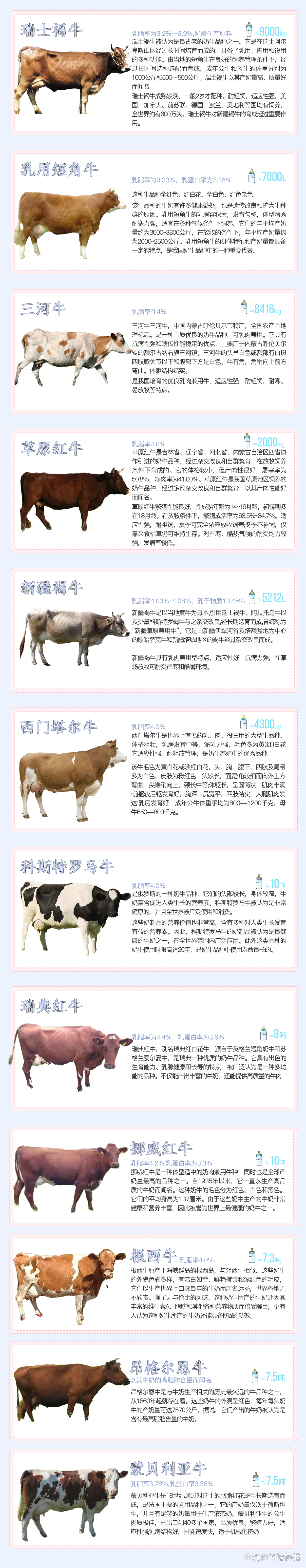 小巷深處的最新牛種探秘