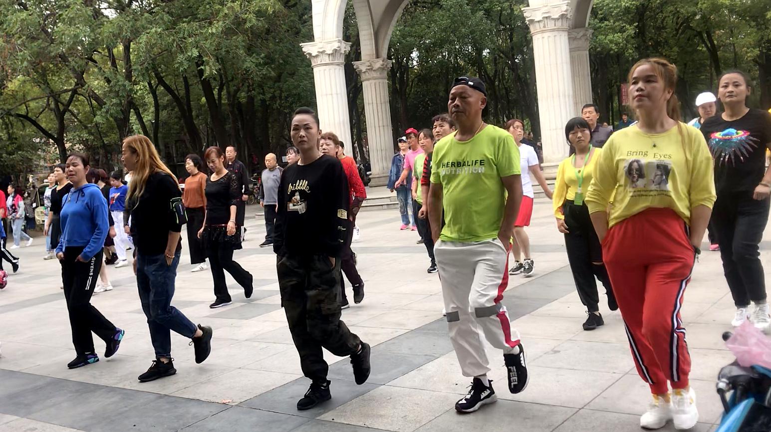 最新散步舞，與自然美景的邂逅，探索內(nèi)心平和之道