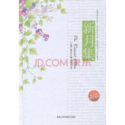 最新月集，群星璀璨，觀點(diǎn)深度闡述